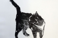 gatto-al-mattino, litografi
